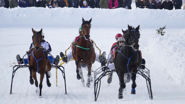 质疑是不可 质疑是不可