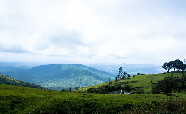 库尔图瓦 库尔图瓦