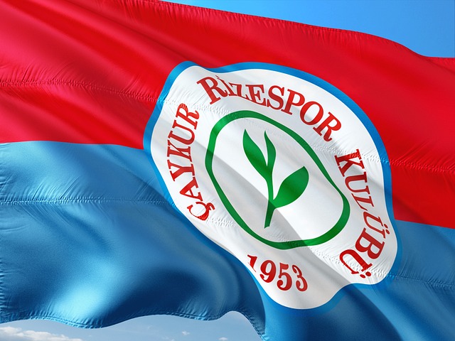 在感谢函中 在感谢函中