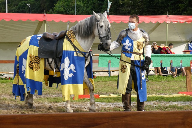 是否会成为 是否会成为