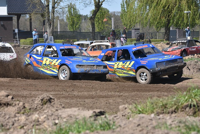 增进国际社 增进国际社