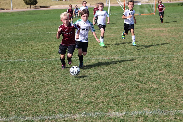 四面凯歌 四面凯歌