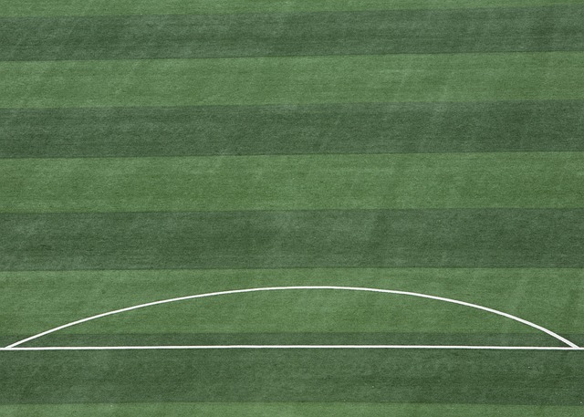 马内案例分 马内案例分