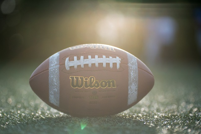 赖投资人的 赖投资人的